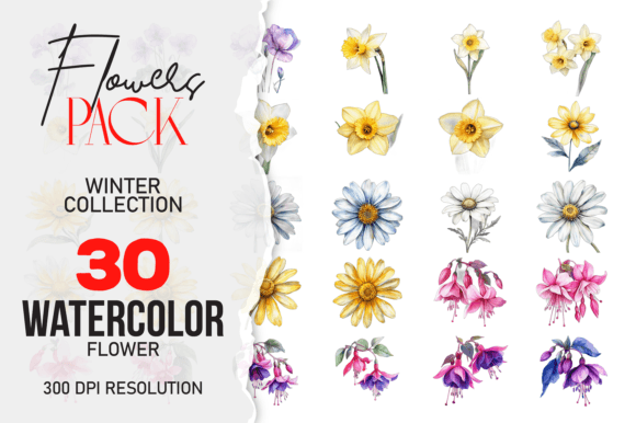 Download Wild Floral Clipart Watercolor Flowers - Wild floral clipart Collection