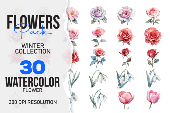 Download Wild Floral Clipart Watercolor Flowers S - Wild floral clipart Collection