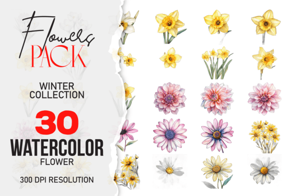 Download Wild Floral Clipart Watercolor Flowers - Wild floral clipart Collection