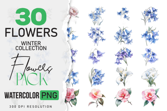 Download Wild Floral Clipart Watercolor Flowers - Wild floral clipart Collection
